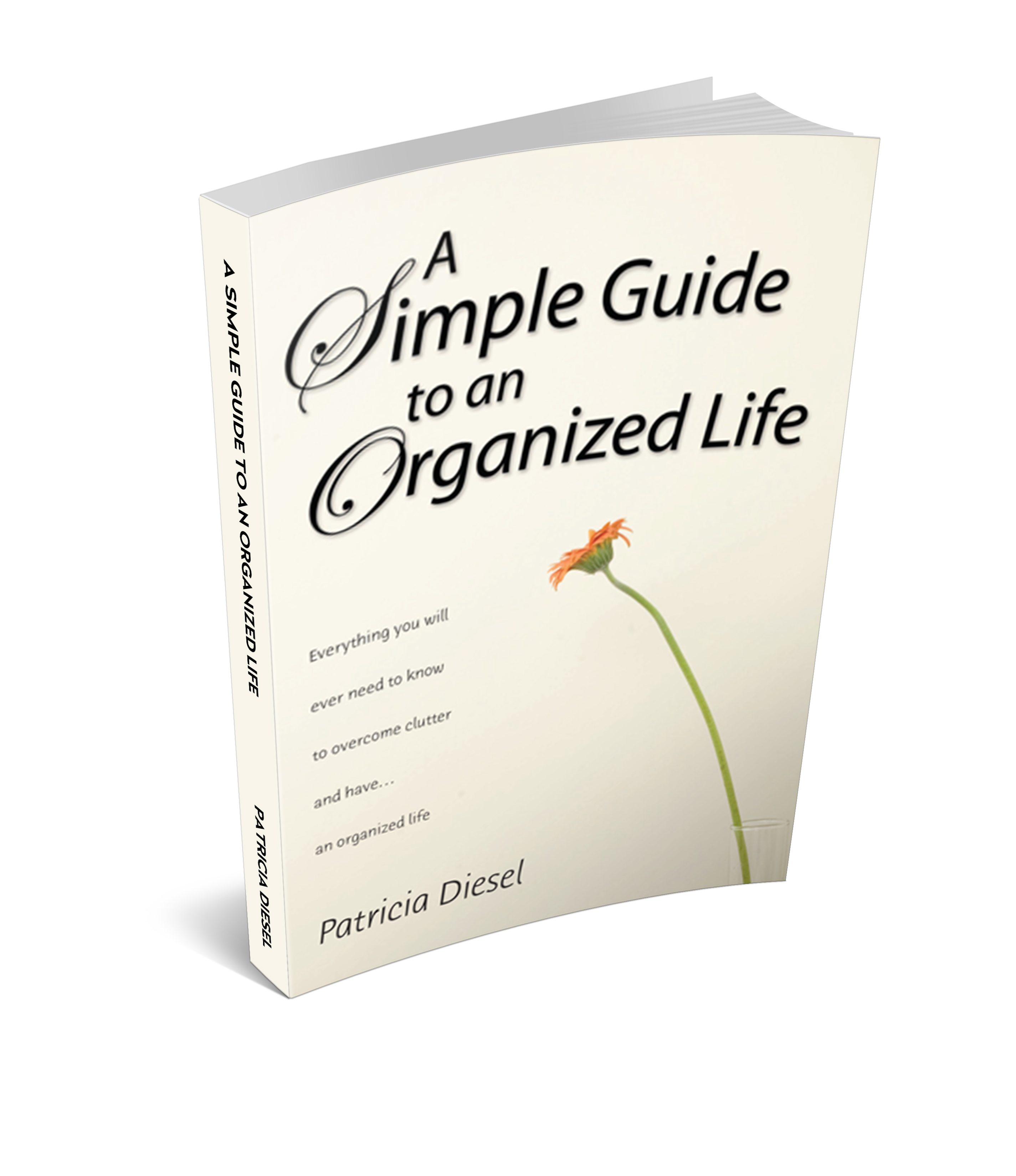 Simple Guide To an Organized Life 3d cover