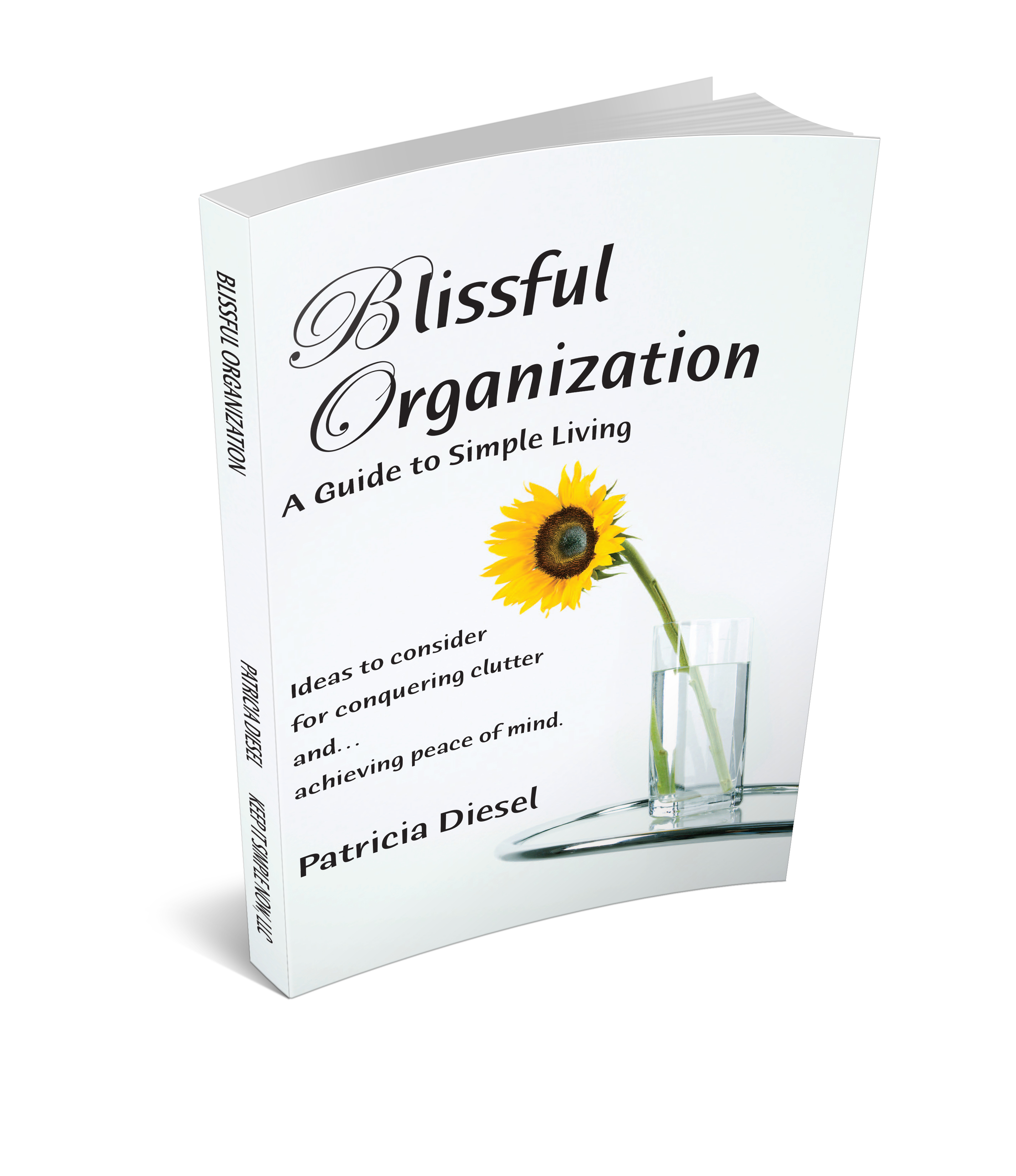 Blissful organization 3d cover